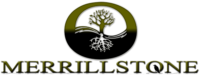 Merrillstone logo
