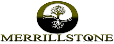 Logo for Merrillstone